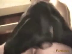 Her dog Bareback drills the sweet white bitch.